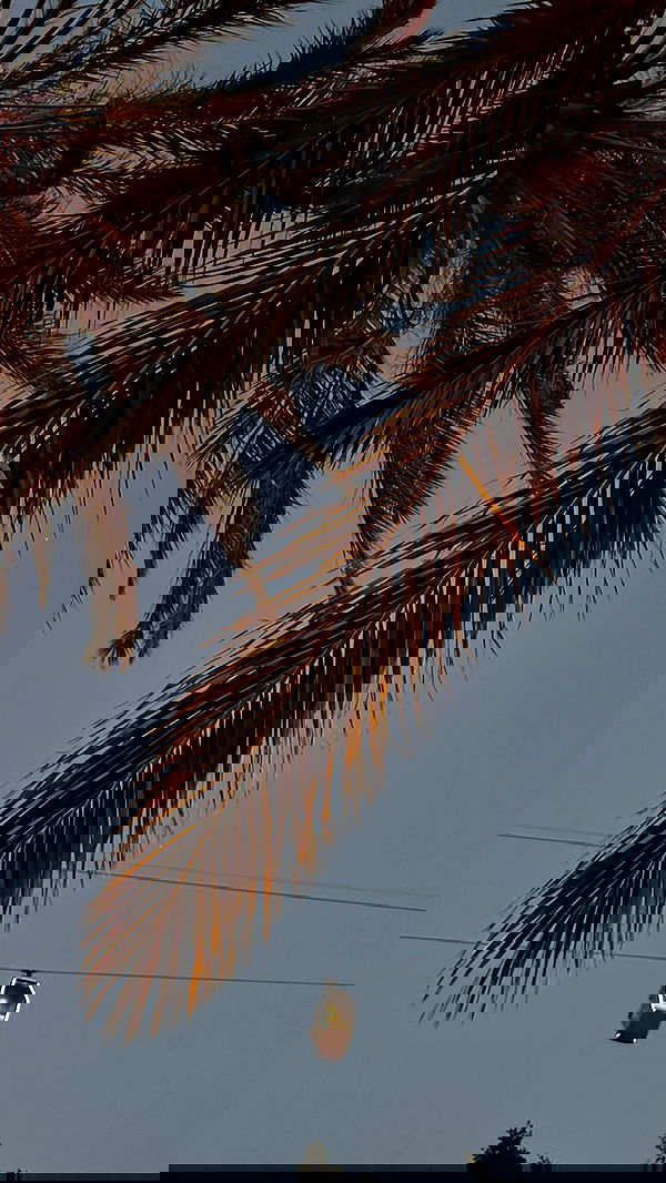 annfigma annfigma archive image