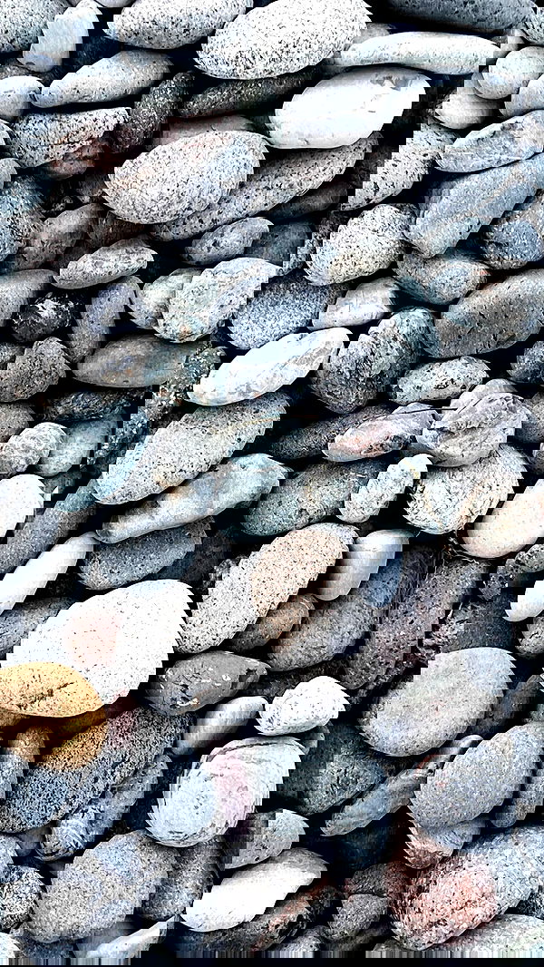 annfigma annfigma archive image