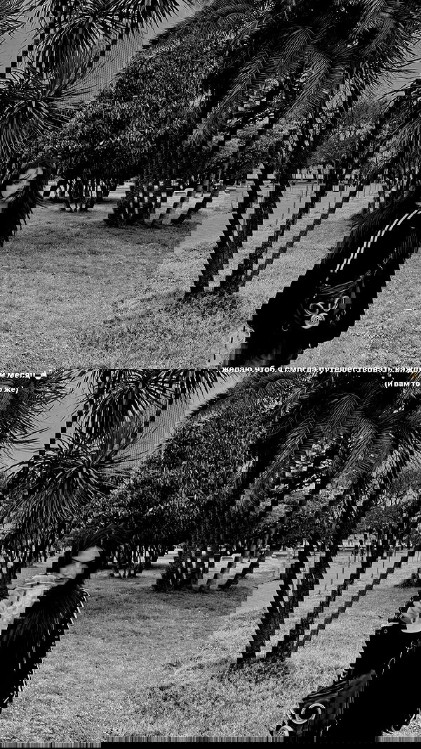 annfigma annfigma archive image