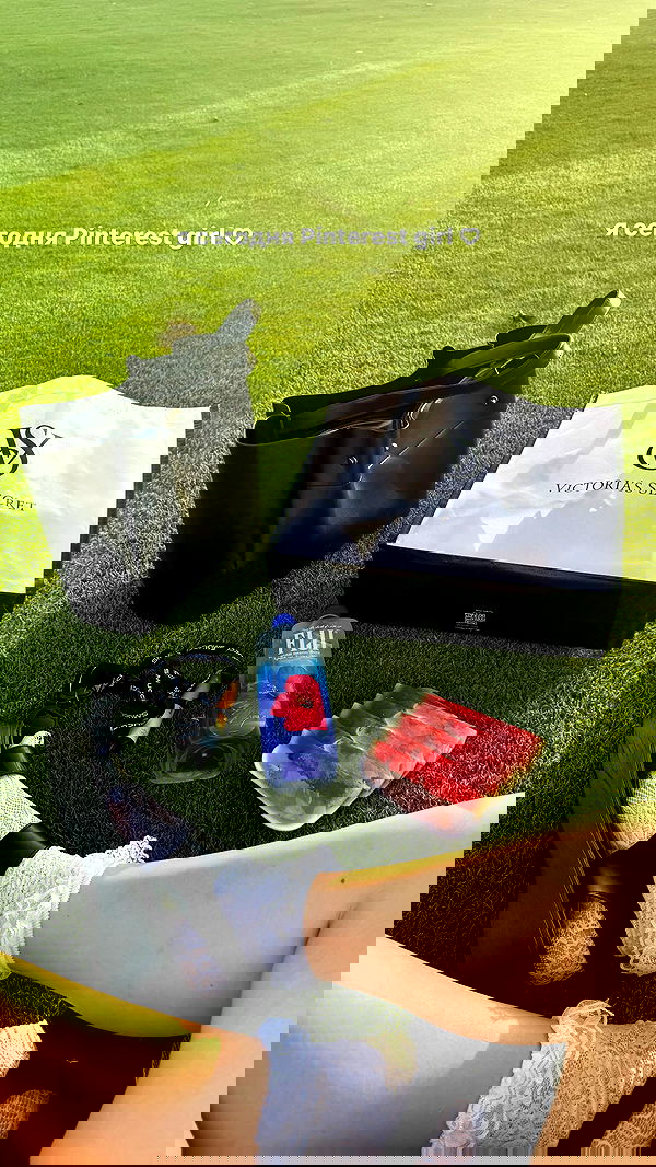 annfigma annfigma archive image