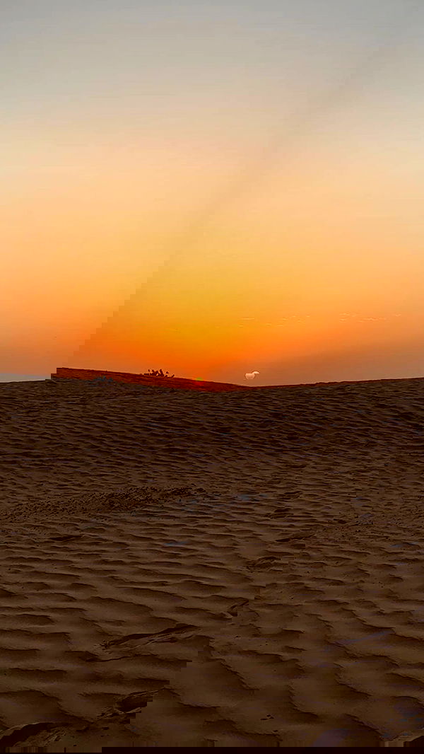 annfigma annfigma archive image