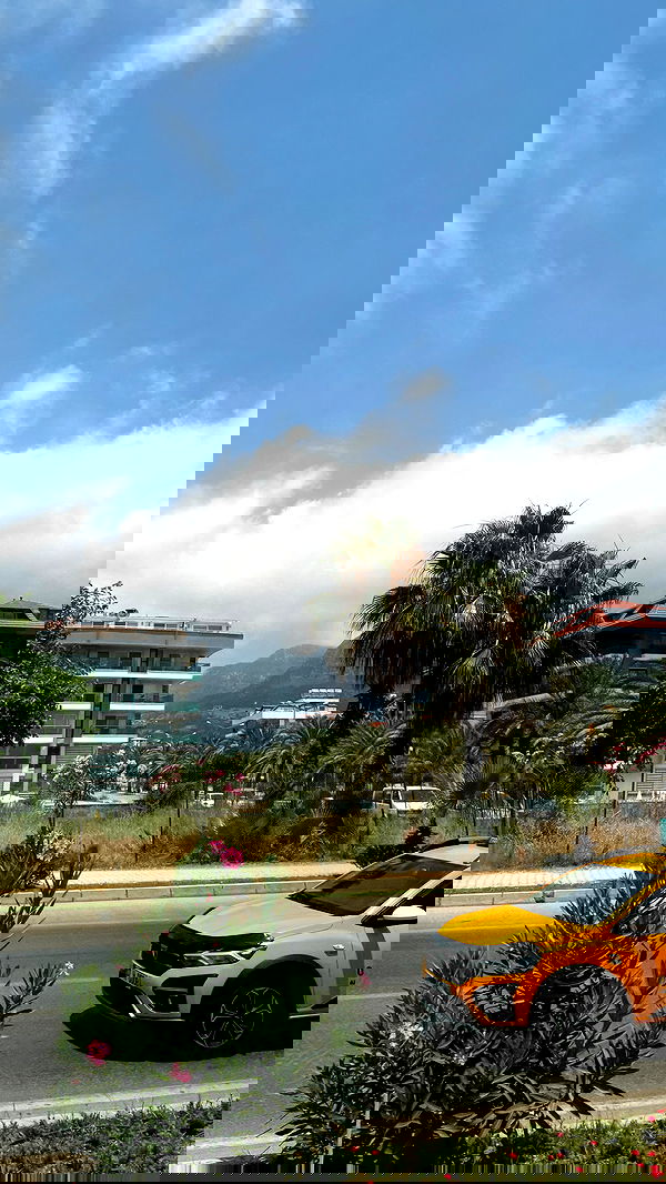 annfigma annfigma archive image