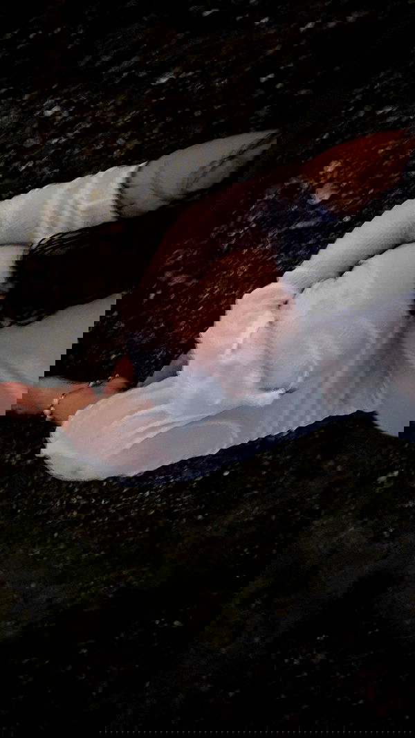 annfigma annfigma archive image