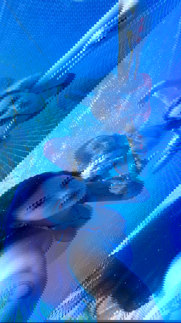 annfigma annfigma archive image