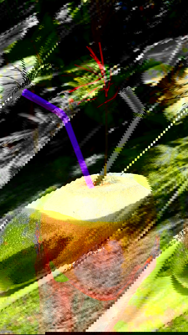 annfigma annfigma archive image