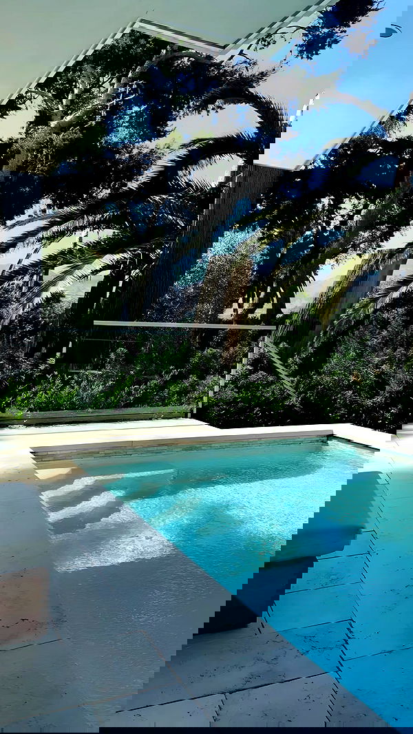 annfigma annfigma archive image