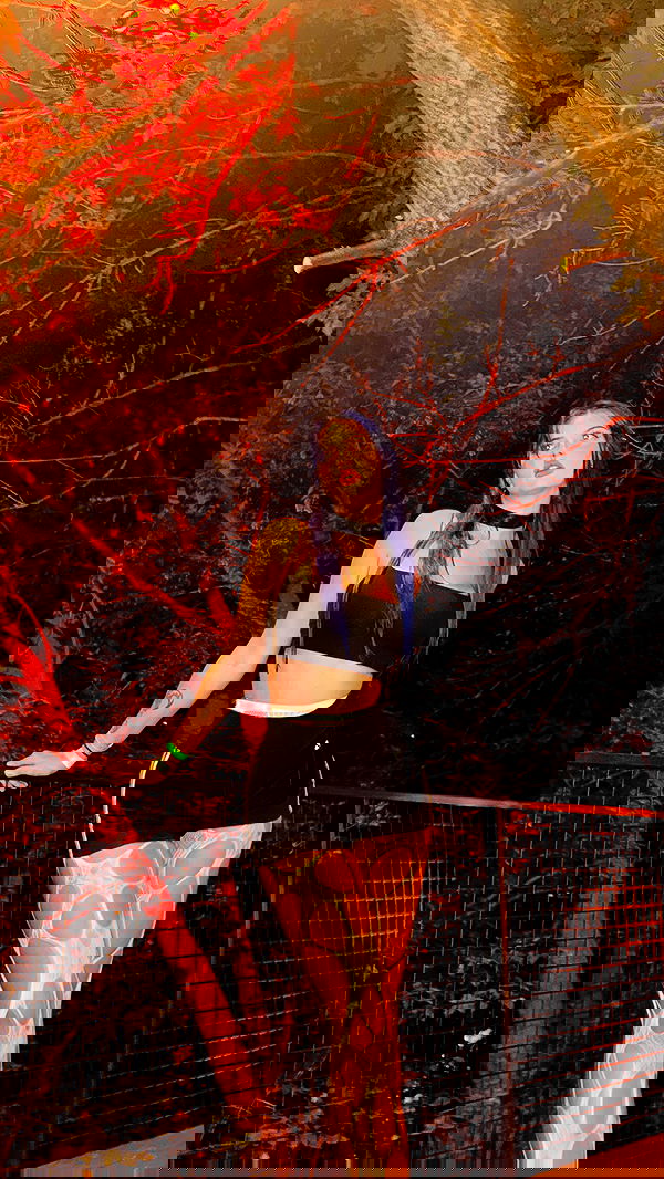 annfigma annfigma archive image