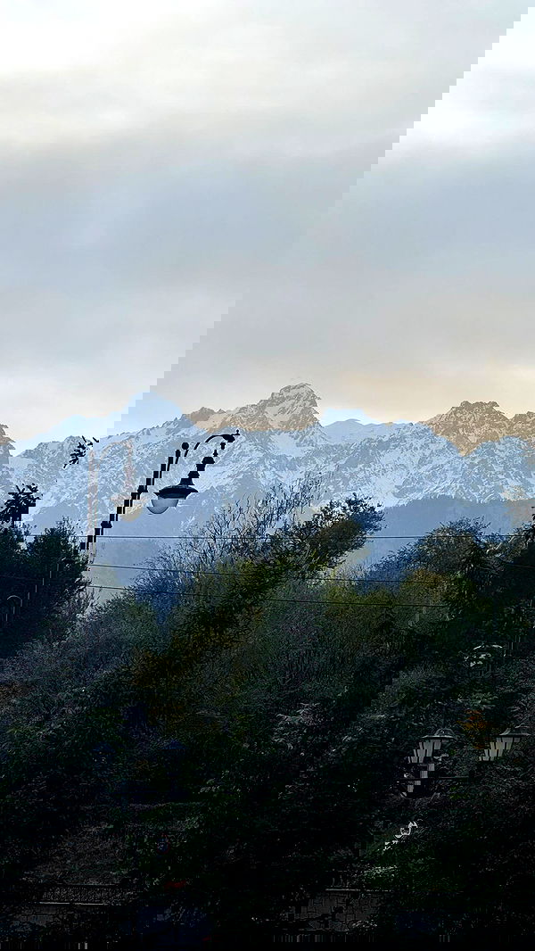 annfigma annfigma archive image