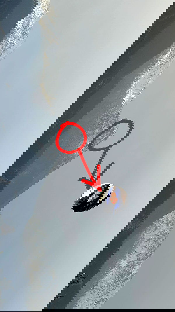 annfigma annfigma archive image