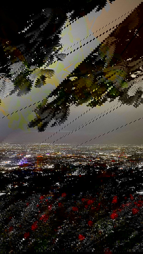 annfigma annfigma archive image