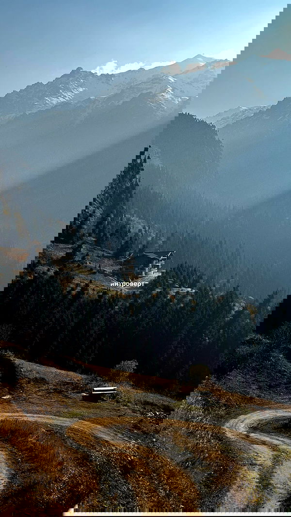 annfigma annfigma archive image