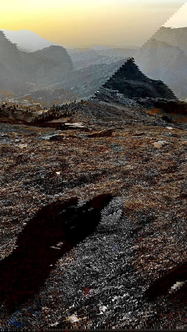 annfigma annfigma archive image