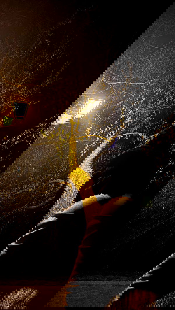 annfigma annfigma archive image