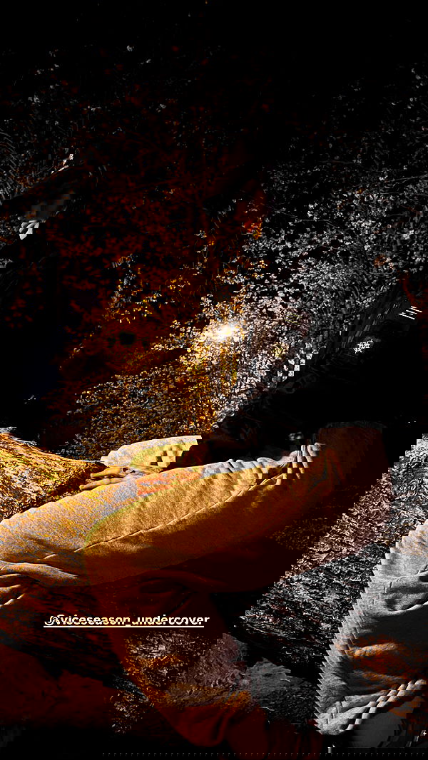 annfigma annfigma archive image