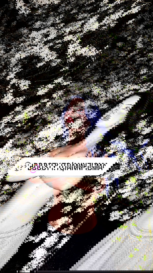 annfigma annfigma archive image