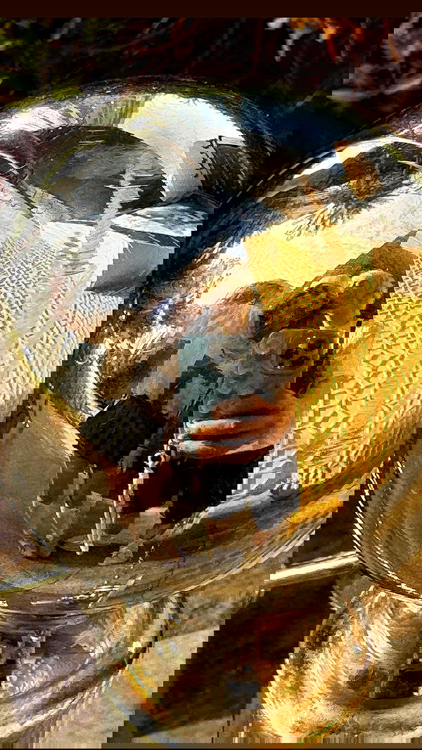 annfigma annfigma archive image