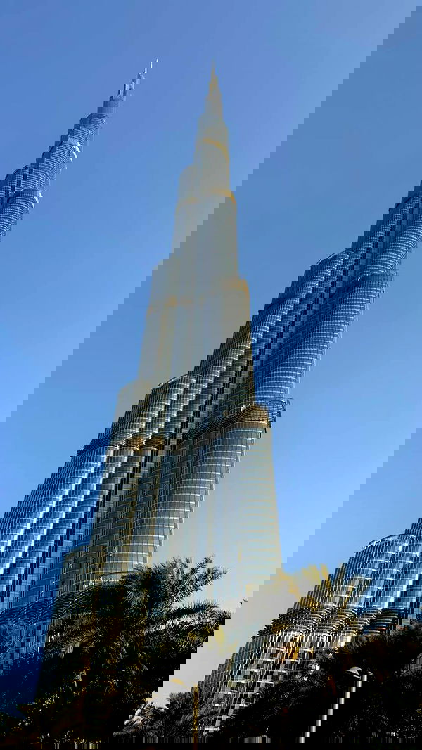 annfigma annfigma archive image