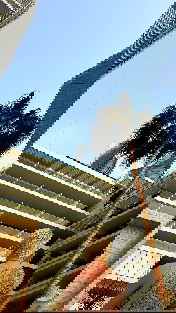 annfigma annfigma archive image