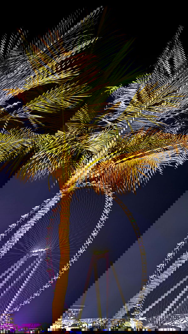 annfigma annfigma archive image