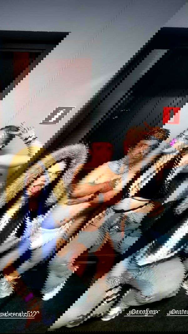 annfigma annfigma archive image