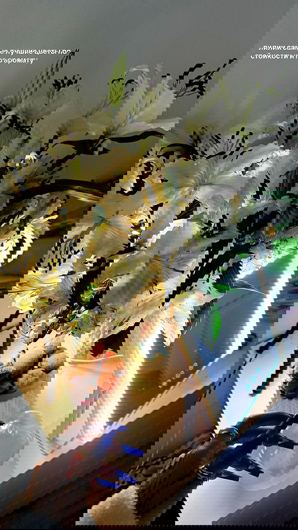 annfigma annfigma archive image