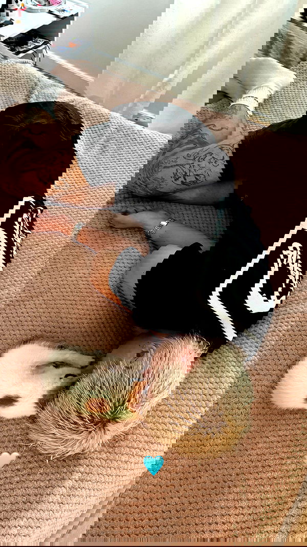 annfigma annfigma archive image