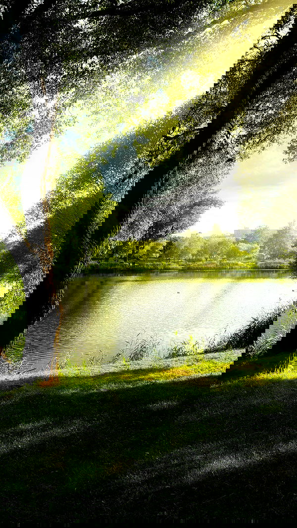 annfigma annfigma archive image