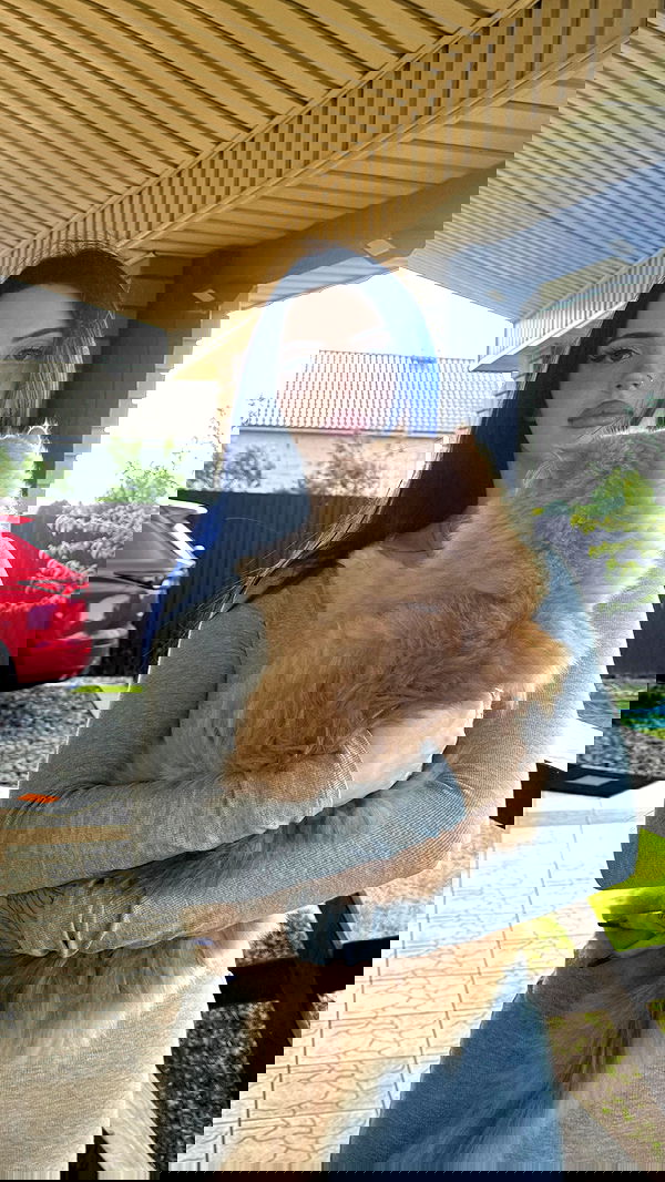 annfigma annfigma archive image