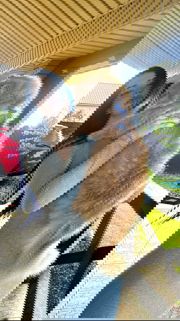 annfigma annfigma archive image