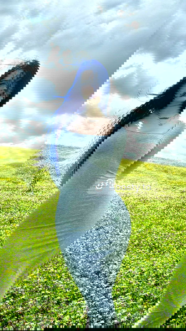 annfigma annfigma archive image