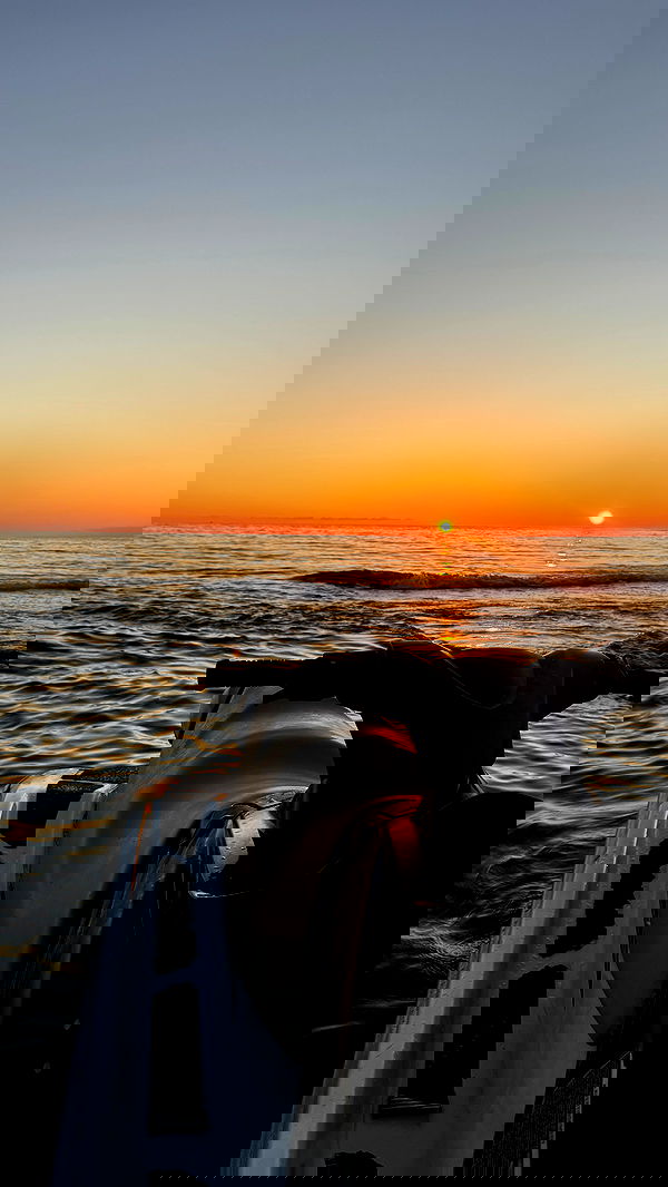 annfigma annfigma archive image