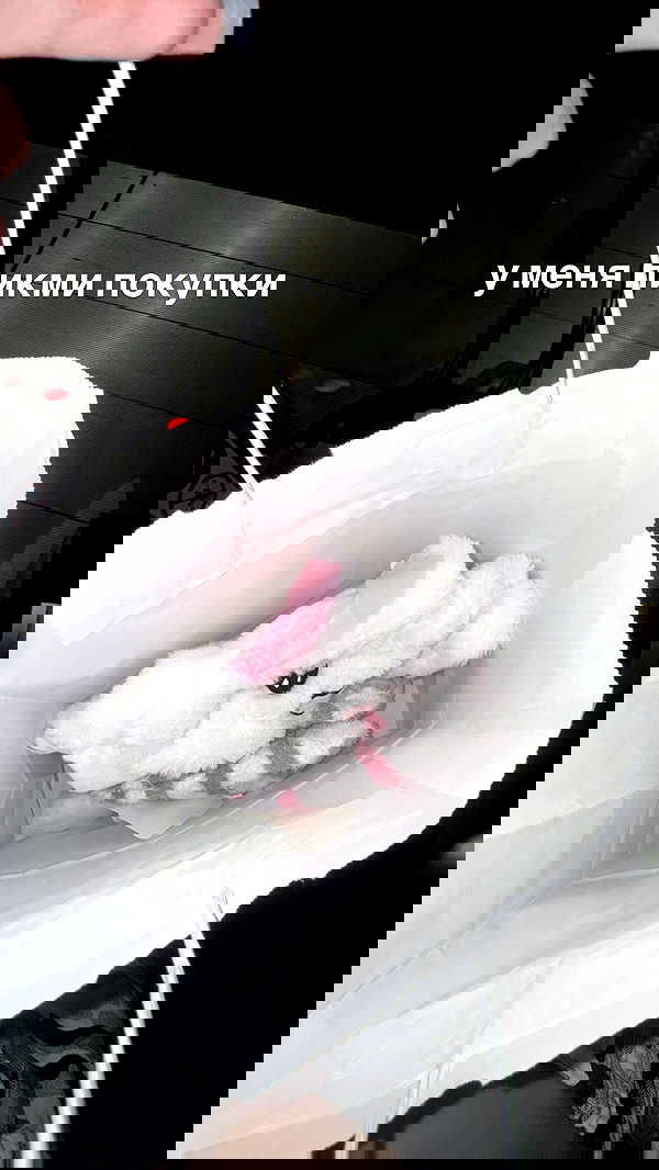 annfigma annfigma archive image