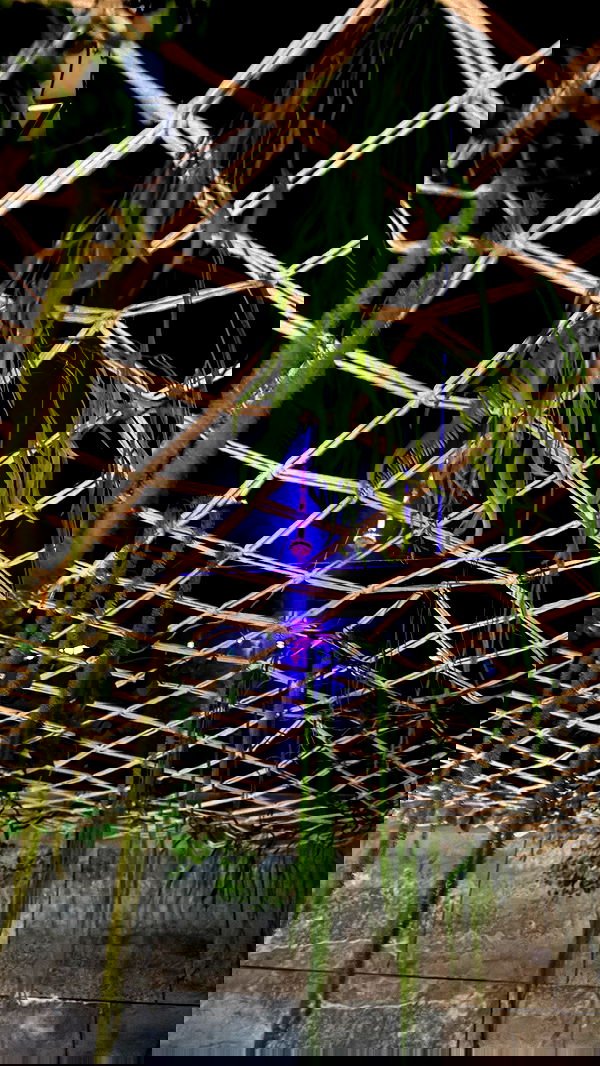 annfigma annfigma archive image