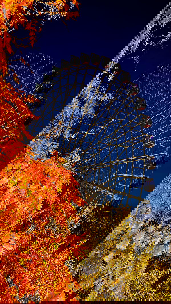 annfigma annfigma archive image