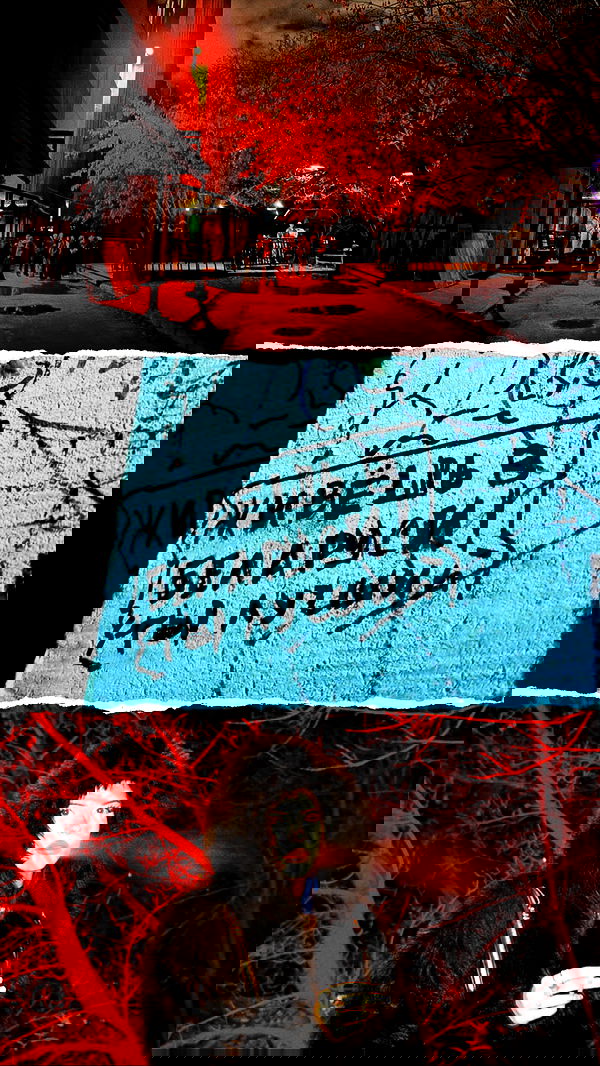 annfigma annfigma archive image