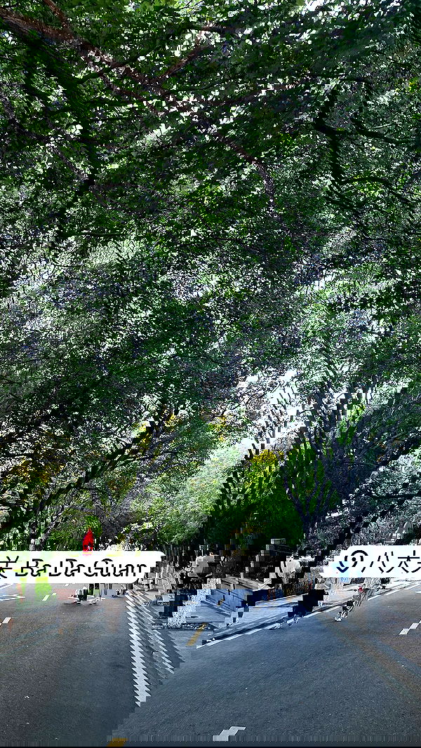 annieee__z annieee__z archive image