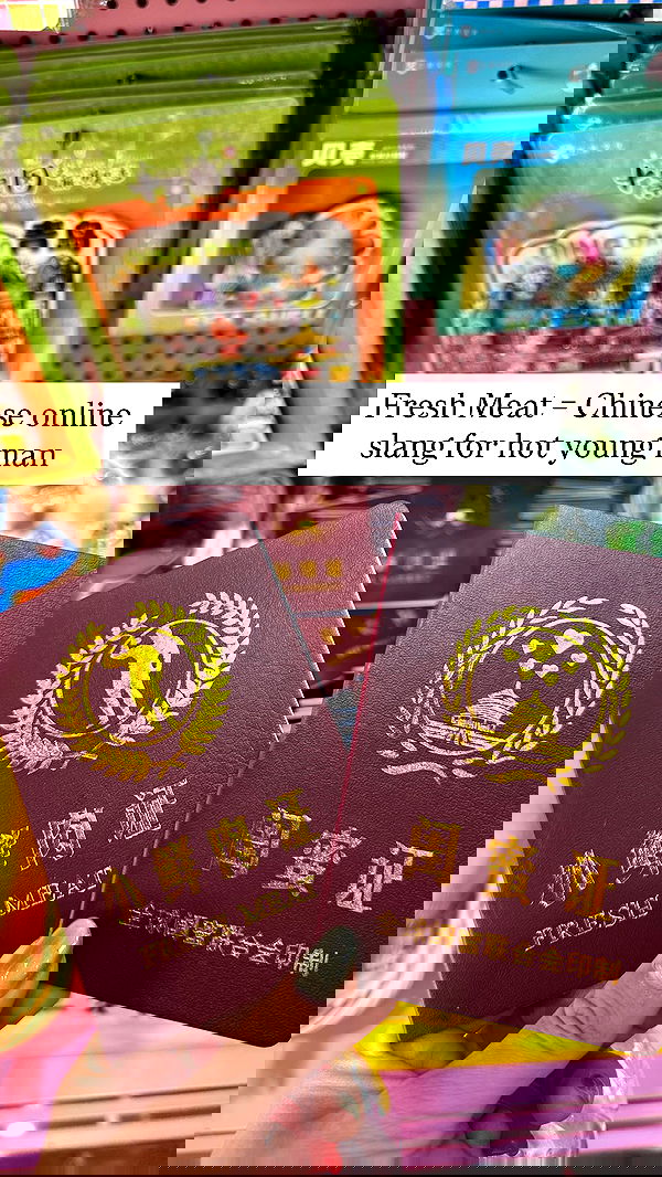 annieee__z annieee__z archive image