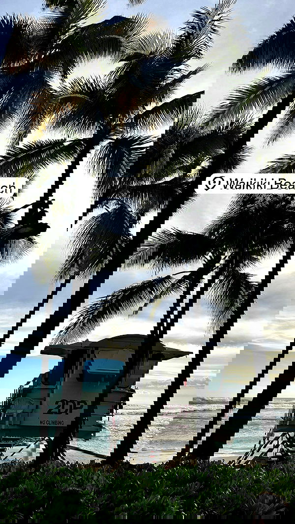 annieee__z annieee__z archive image