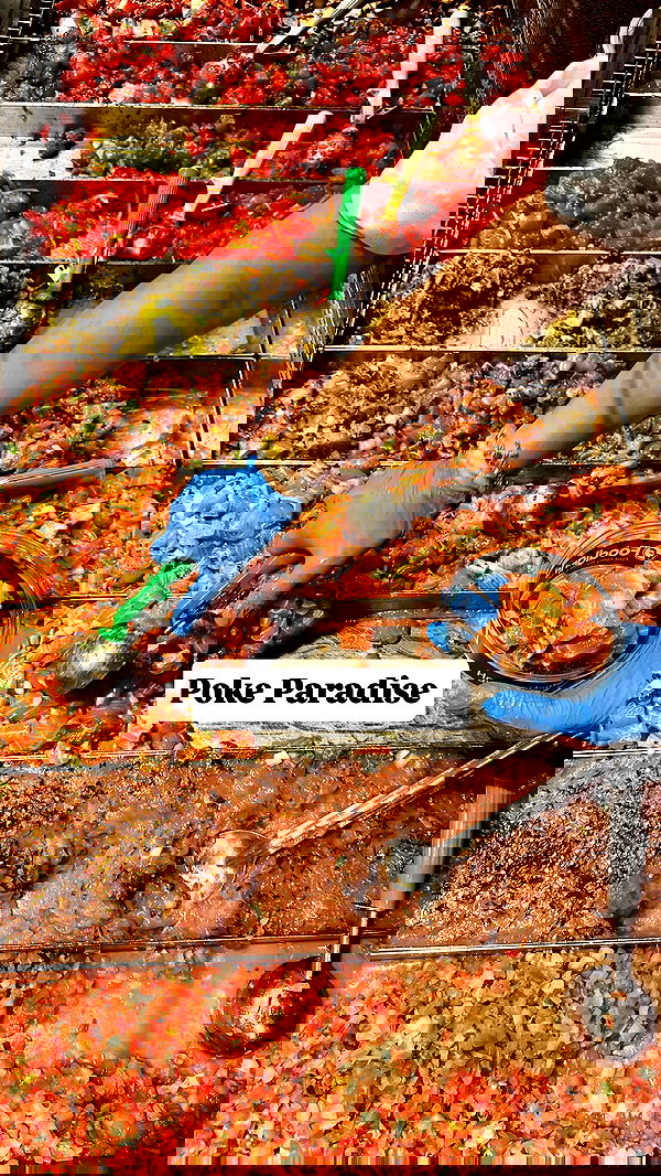 annieee__z annieee__z archive image