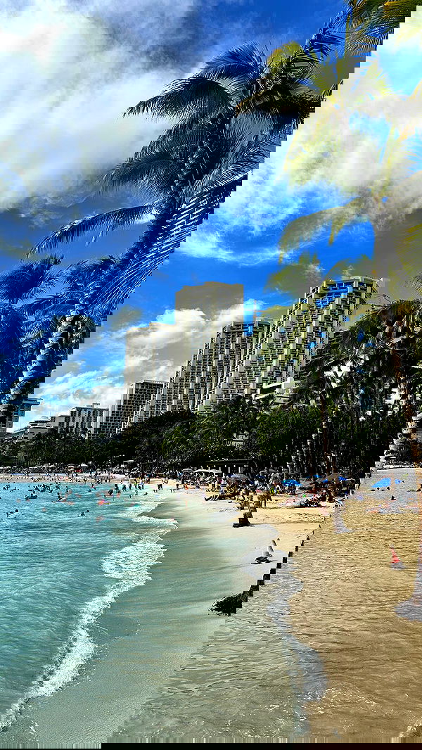 annieee__z annieee__z archive image