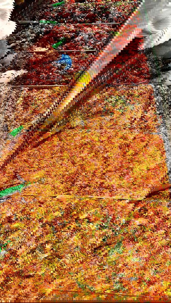 annieee__z annieee__z archive image