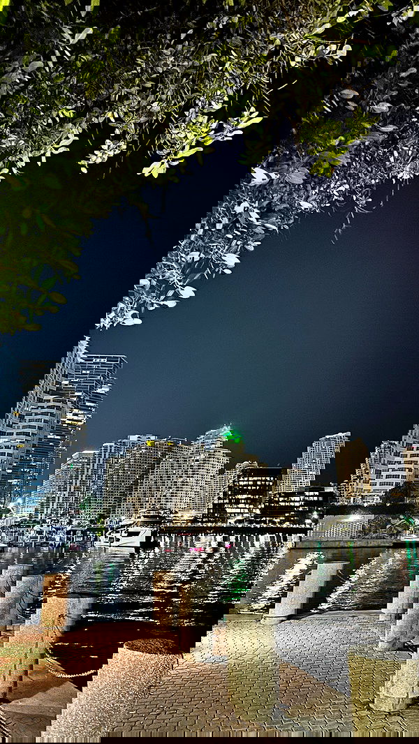 annieee__z annieee__z archive image