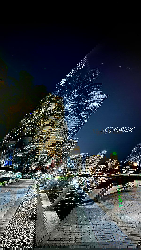 annieee__z annieee__z archive image