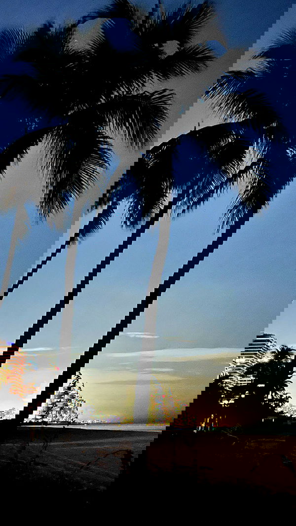 annieee__z annieee__z archive image