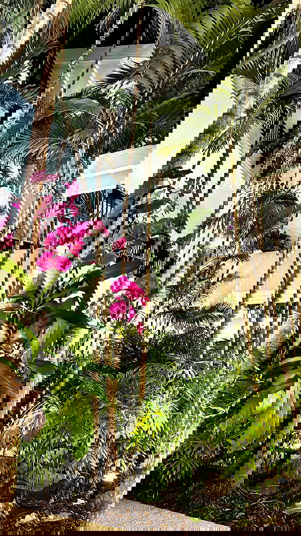 annieee__z annieee__z archive image