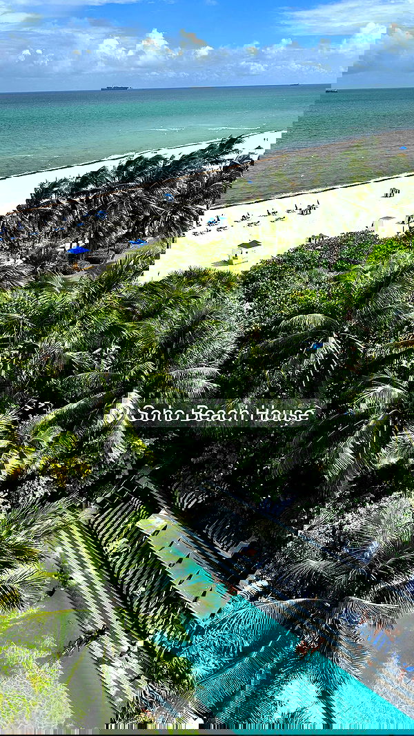 annieee__z annieee__z archive image