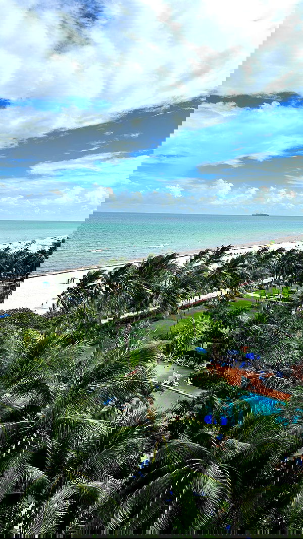 annieee__z annieee__z archive image