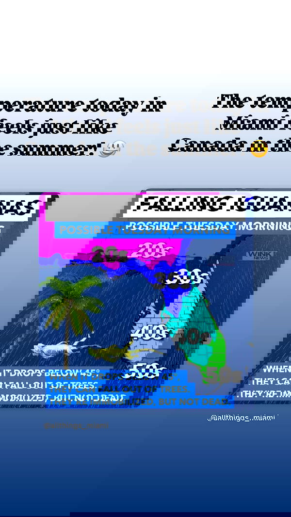 annieee__z annieee__z archive image