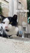 annn_kkkkk Altpins Profile Picture