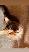 annn_kkkkk Altpins Profile Picture
